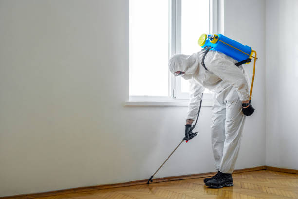 Best Affordable Pest Control Services  in Swannanoa, NC
