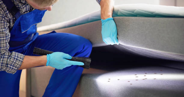 Best Pest Control for Businesses  in Swannanoa, NC