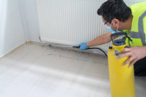 Best Cockroach Control Services  in Swannanoa, NC